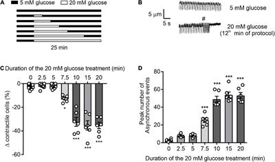 Selective protein kinase C inhibition switches time-dependent glucose cardiotoxicity to cardioprotection